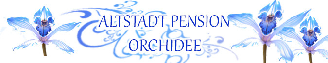 Altstadt Pension Orchidee in Wernigerode, Germany